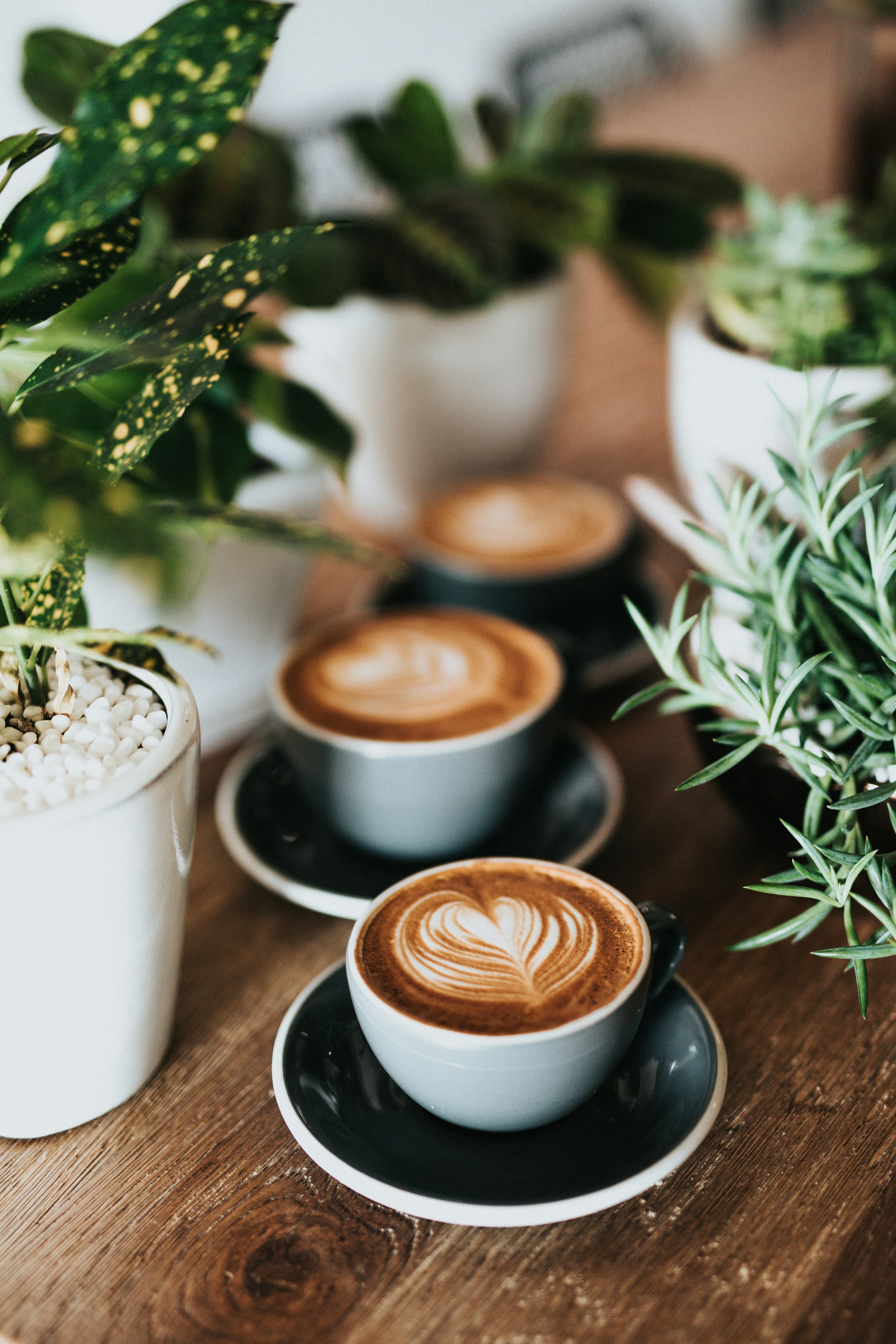 Hero — serviço montado pela Origem Coffee & Break em Fortaleza